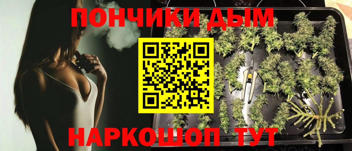 Марихуана Bruce Banner Заринск